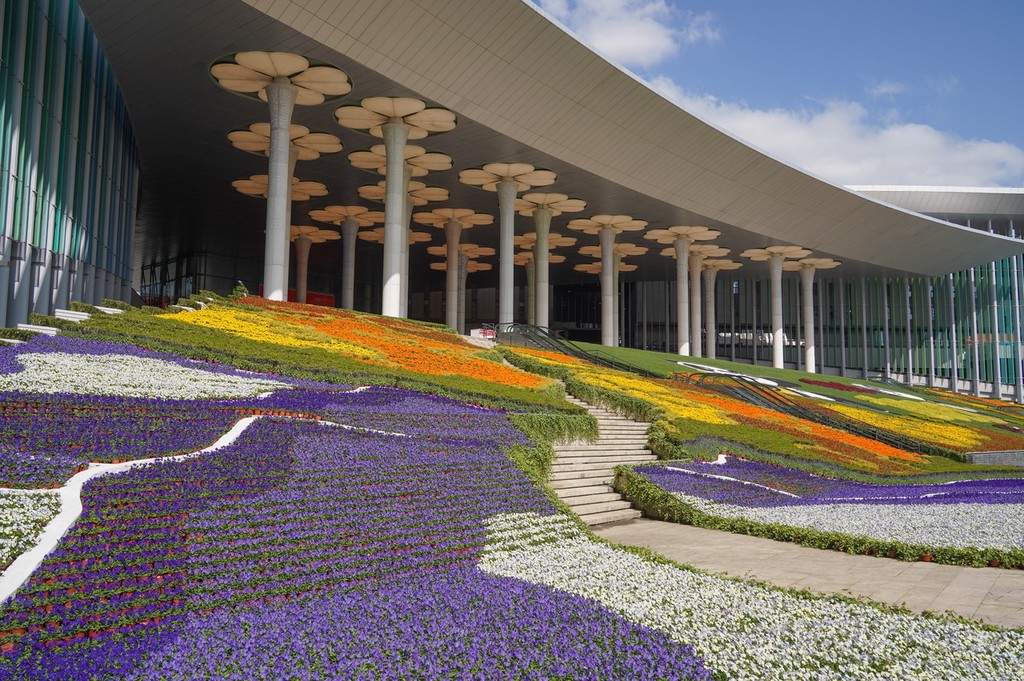 江苏省第二中医院黄牛代挂号电话票贩子号贩子网上预约挂号,住院检查加快,2022第五届进博会开幕倒计时10天 主场馆已全面定妆