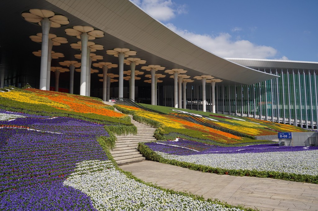 江苏省第二中医院黄牛代挂号电话票贩子号贩子网上预约挂号,住院检查加快,2022第五届进博会开幕倒计时10天 主场馆已全面定妆