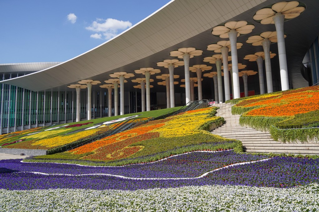 江苏省第二中医院黄牛代挂号电话票贩子号贩子网上预约挂号,住院检查加快,2022第五届进博会开幕倒计时10天 主场馆已全面定妆