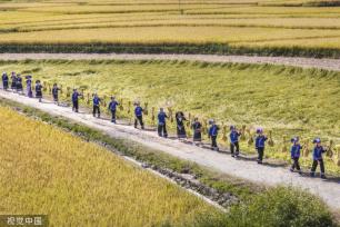 广西百色：德保村民欢聚庆丰收 展示壮家稻作“那”文化