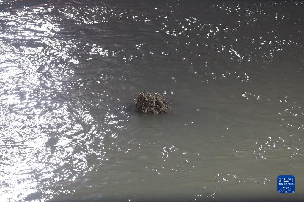 长江口二号古船成功打捞出水