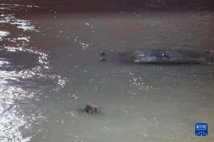 长江口二号古船成功打捞出水