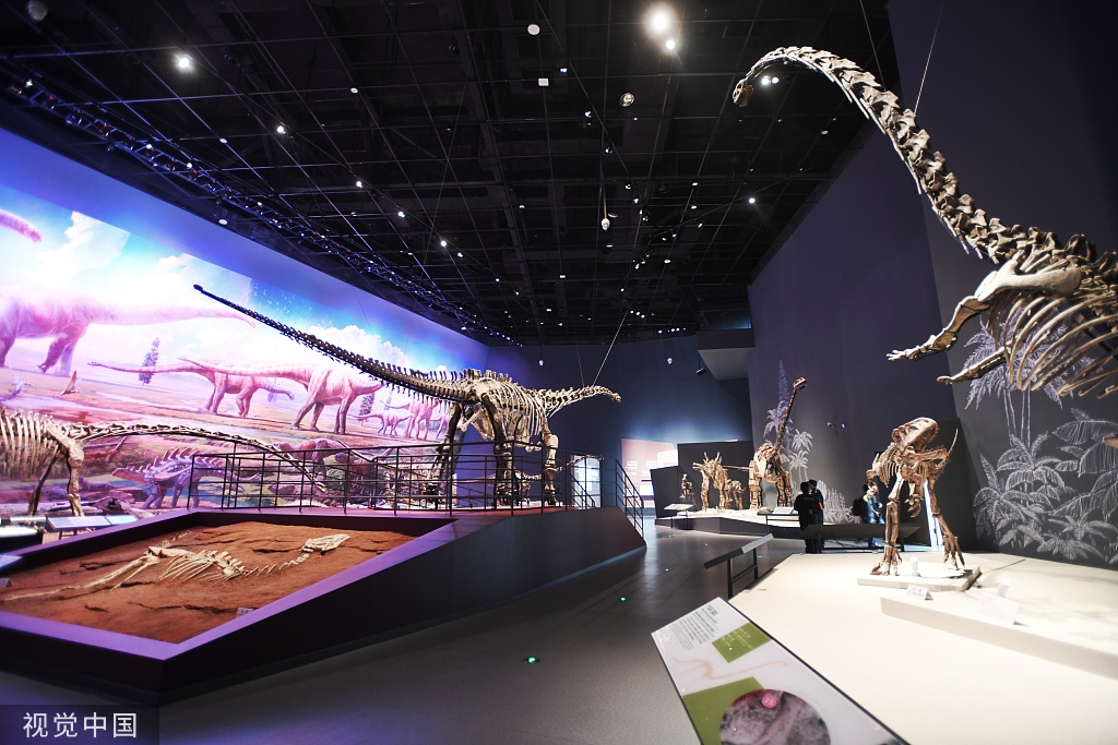 成都自然博物馆开馆试运行 藏品近7万件