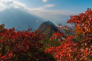 重庆巫山红叶正当红 最佳观赏期将持续到明年1月