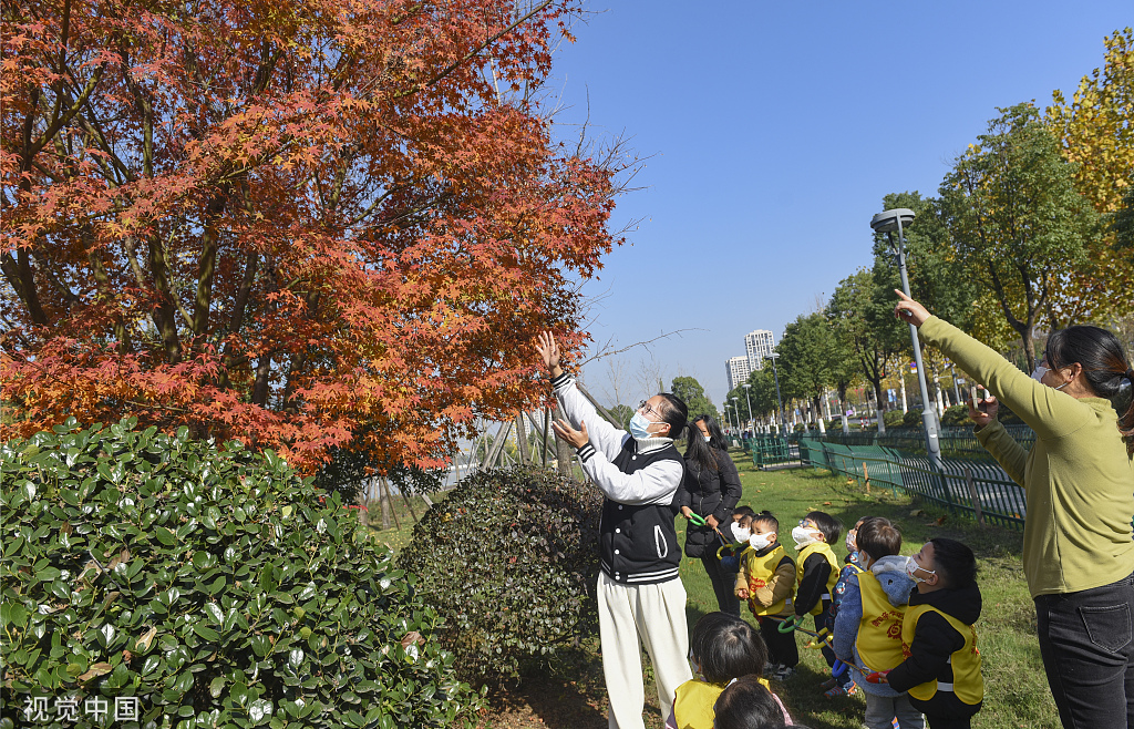 浙江金华：天气晴朗 市民公园散步晒太阳