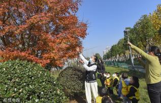 浙江金华：天气晴朗 市民公园散步晒太阳