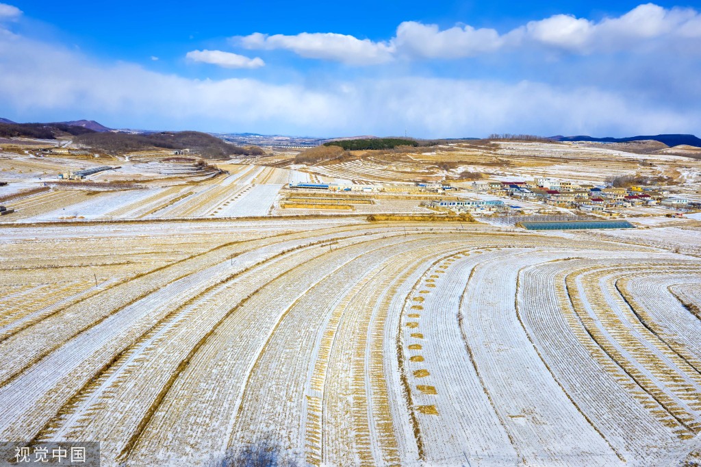 大连：辽南大地降瑞雪 乡村田野银装素裹
