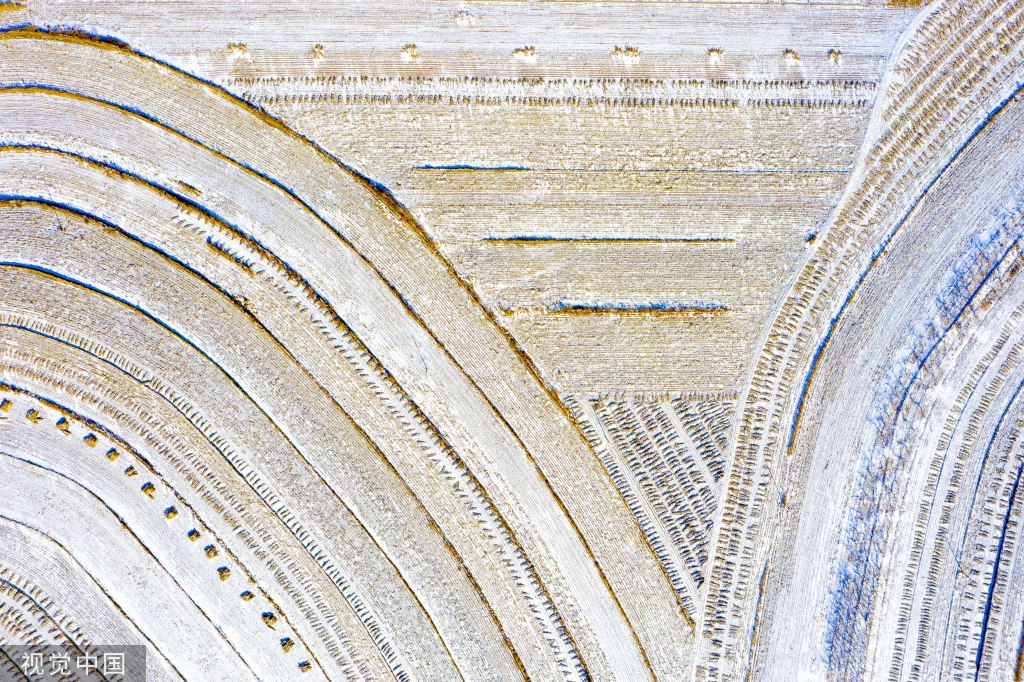 大连：辽南大地降瑞雪 乡村田野银装素裹