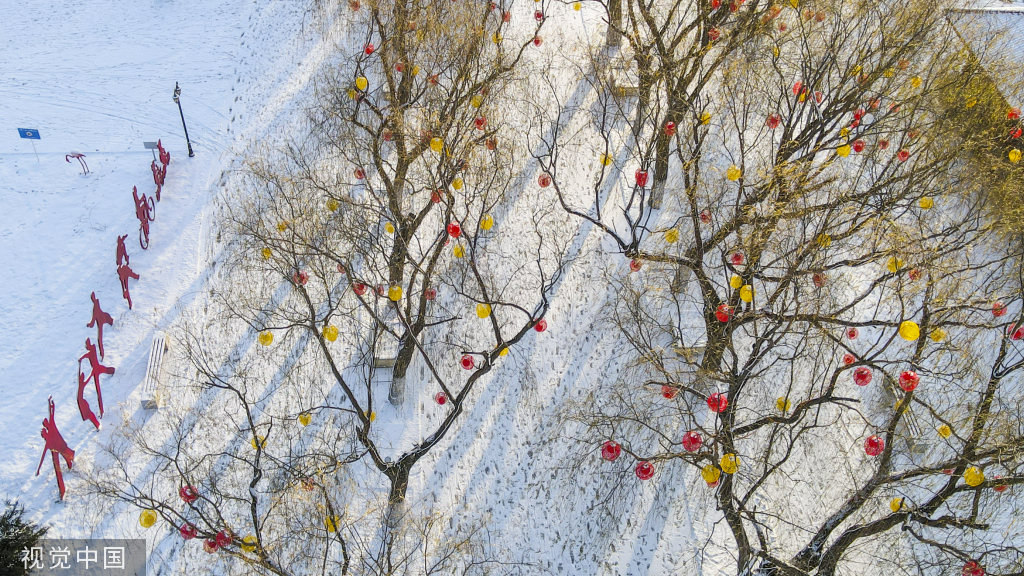 沈阳：劳动公园“新装”迎新年 树木披挂彩灯
