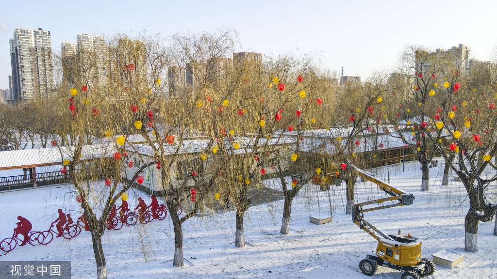 沈阳：劳动公园“新装”迎新年 树木披挂彩灯