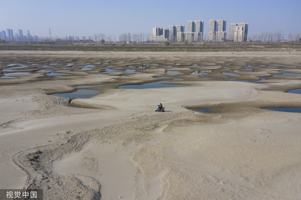 武汉：长江流域进入枯水期 天兴洲大片河滩裸露