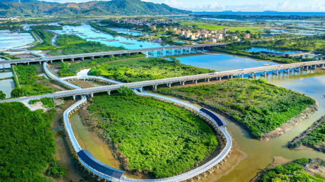 通过验收！广东新增3个国家湿地公园