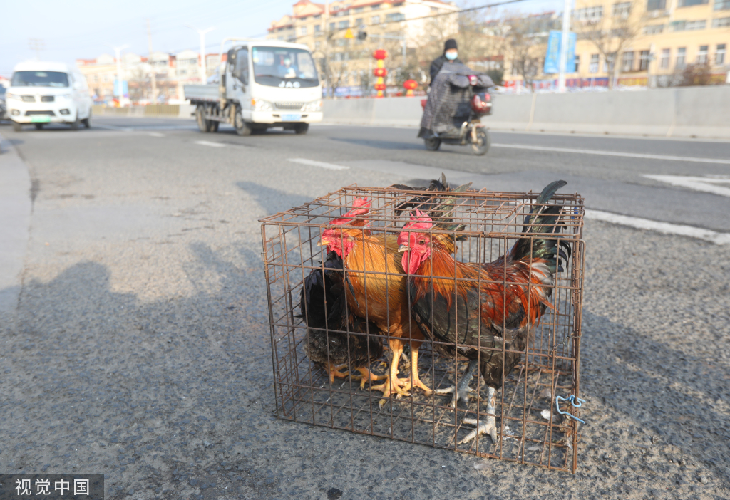 青岛：春节临近 大集年货商品琳琅满目