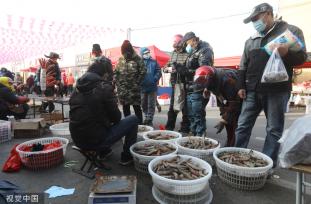 青岛：春节临近 大集年货商品琳琅满目