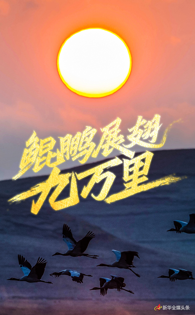 鲲鹏展翅九万里——以习近平同志为核心的党中央引领中华民族迈向伟大复兴述评