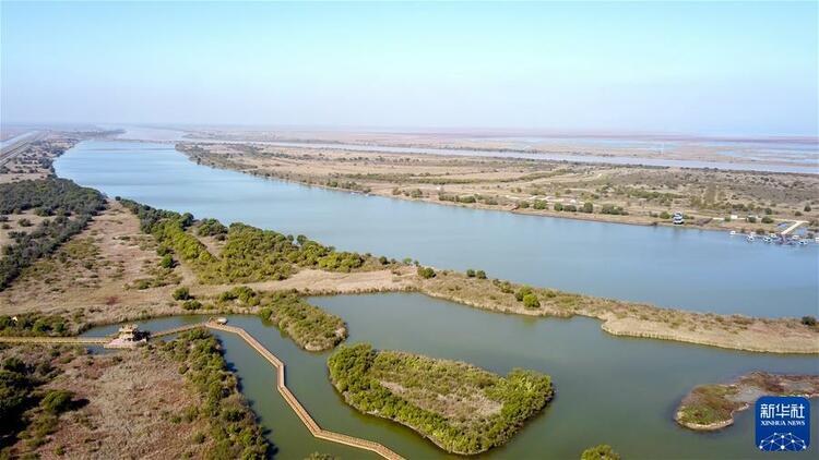 鲲鹏展翅九万里——以习近平同志为核心的党中央引领中华民族迈向伟大复兴述评