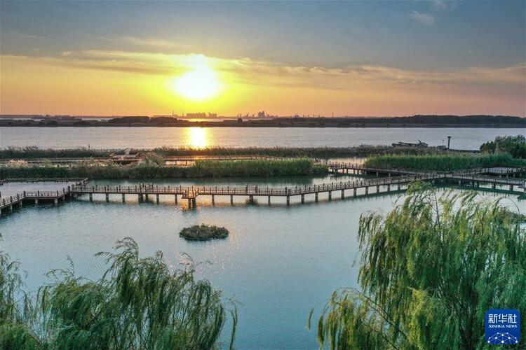 鲲鹏展翅九万里——以习近平同志为核心的党中央引领中华民族迈向伟大复兴述评