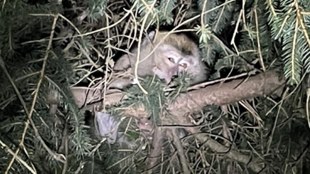 1643155843387183.png 微信截图_20220126080628.png