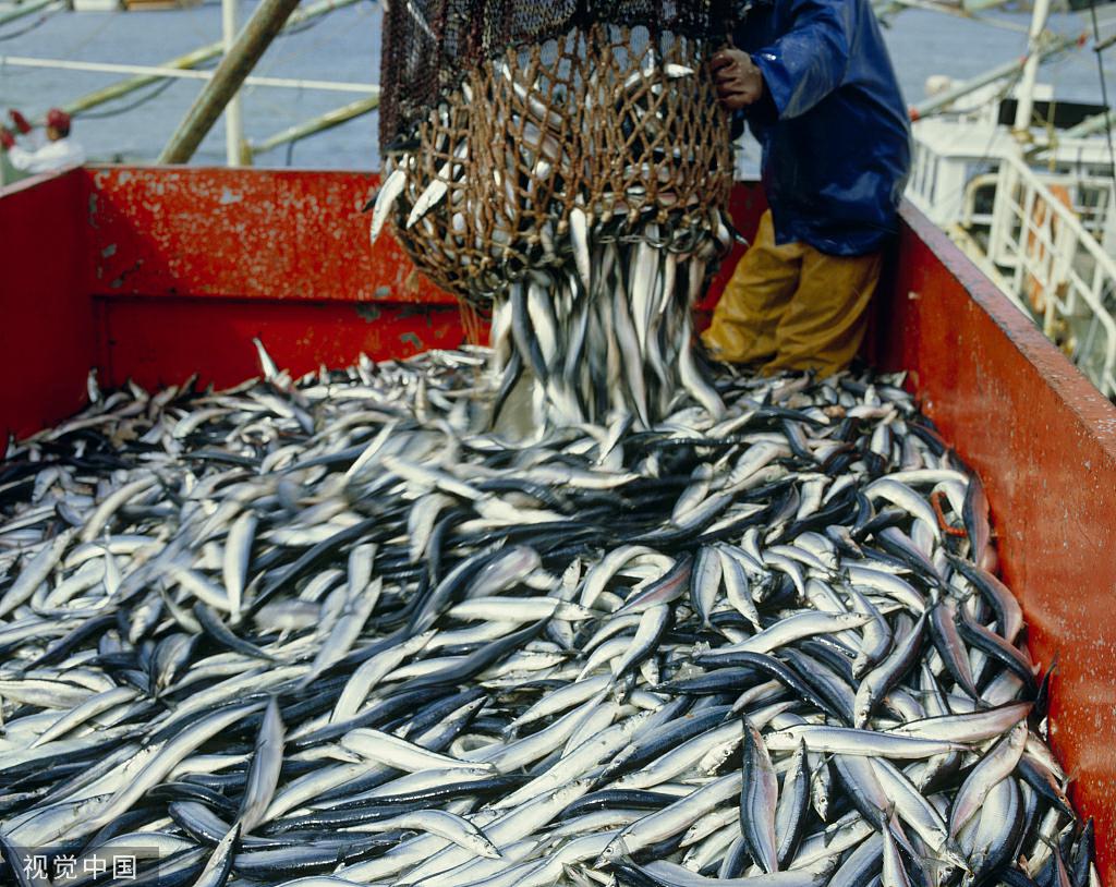 1649917786342661.jpg VCG4182113800_毒霸看图.jpg