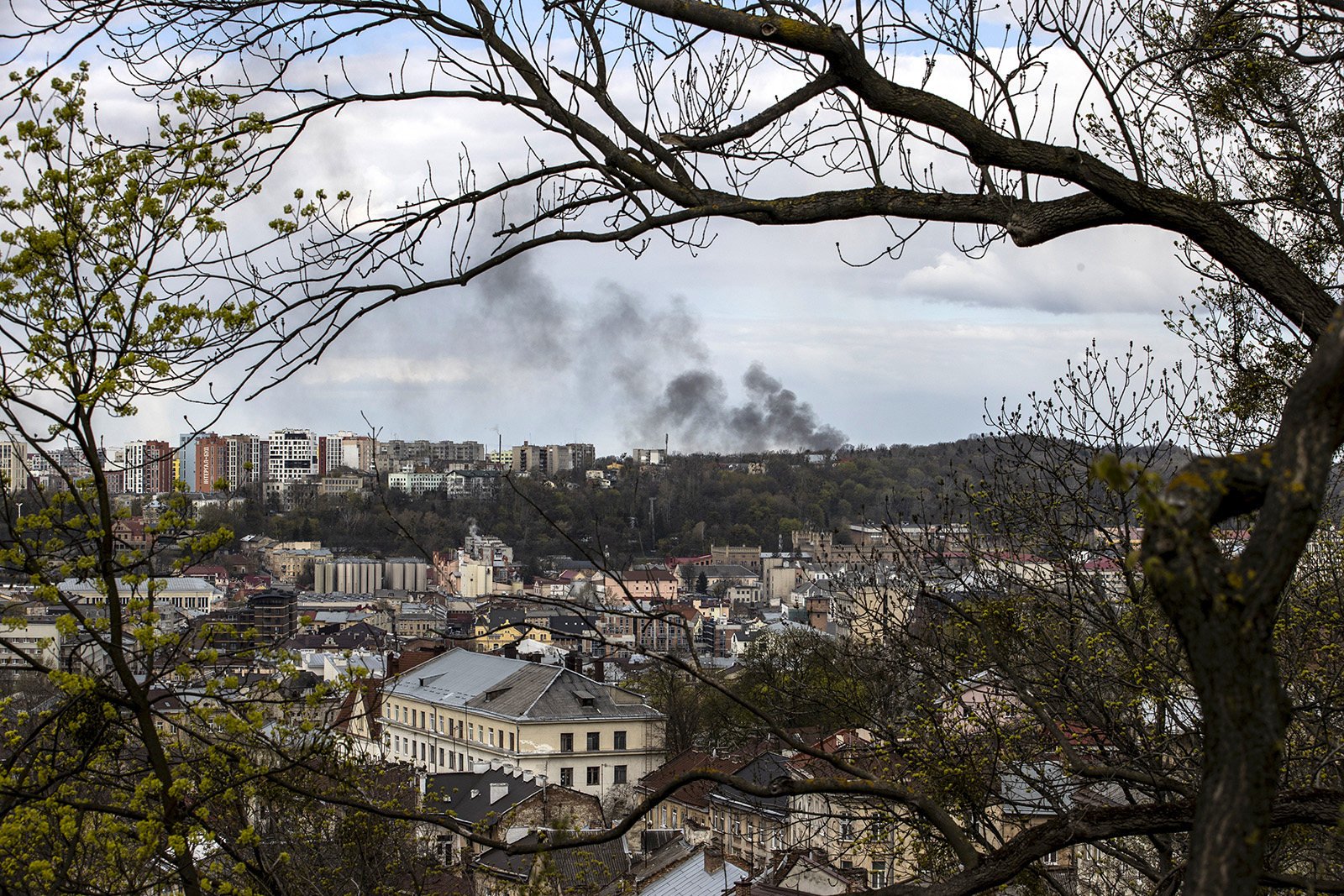 1650269952381995.jpg 1.jpg