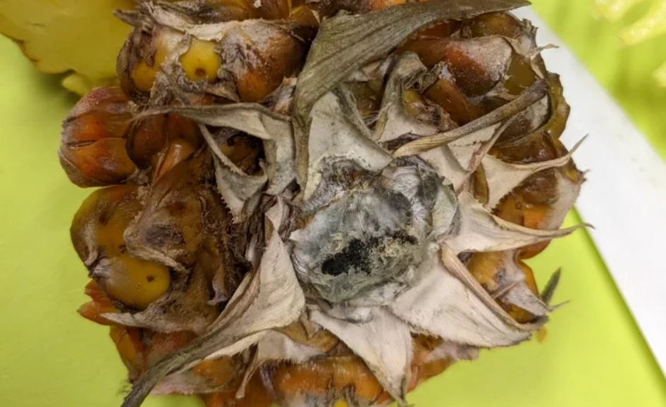 1653378322723919.png 微信截图_20220524154510.png