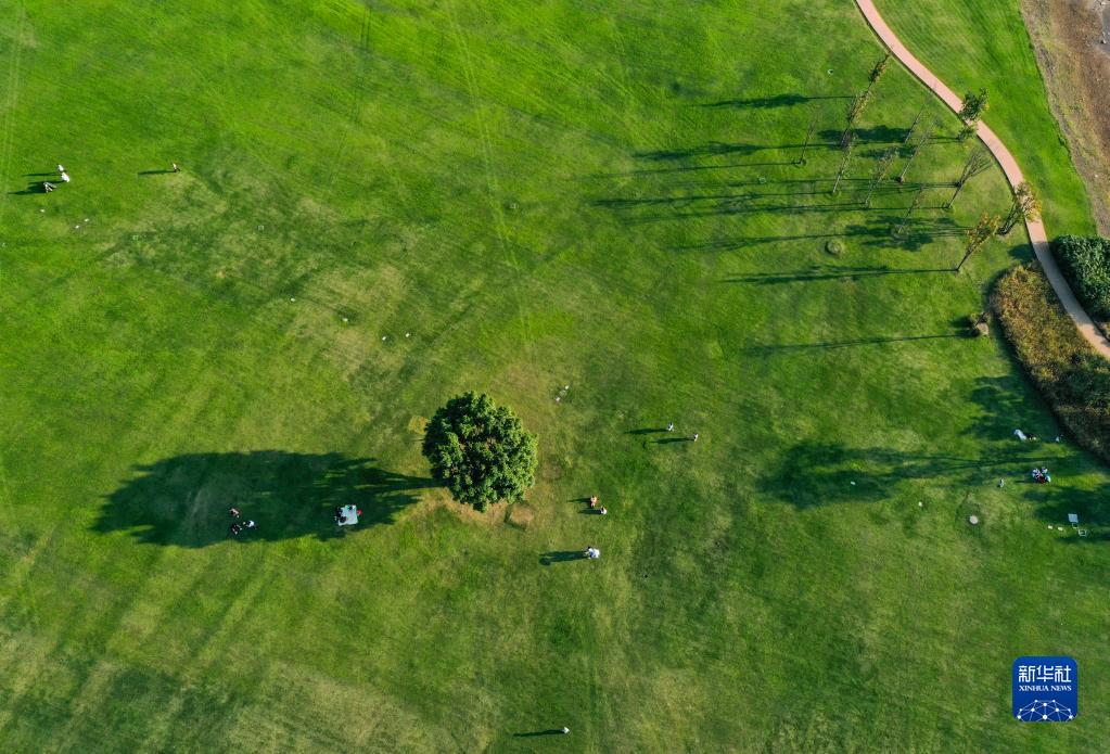 
中国医学科学院肿瘤医院黄牛代挂号电话票贩子号贩子网上预约挂号,住院检查加快,长江上游最大江心岛的生态蝶变