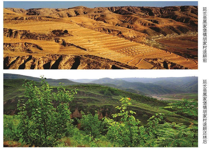 陕西延安退耕還林前後對比照片.jpg