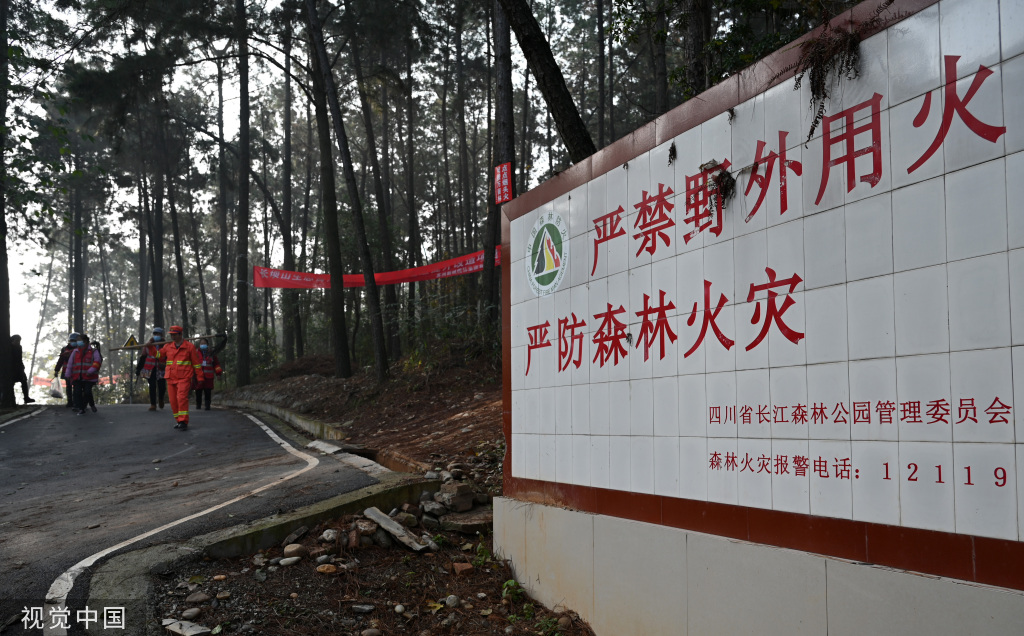 四川内江：护林员加强巡查 防范林地火灾隐患