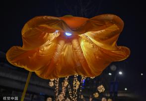 成都街头现开花路灯 “花朵”随行人走近绽放