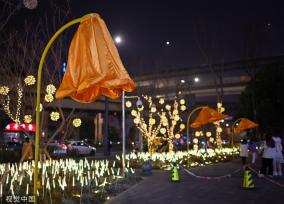 成都街头现开花路灯 “花朵”随行人走近绽放