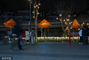 成都街头现开花路灯 “花朵”随行人走近绽放