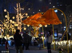 成都街头现开花路灯 “花朵”随行人走近绽放