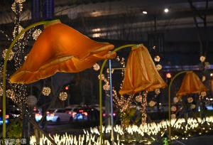 成都街头现开花路灯 “花朵”随行人走近绽放