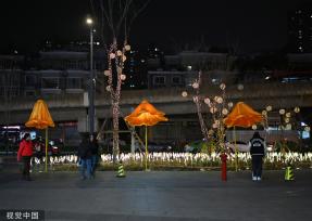 成都街头现开花路灯 “花朵”随行人走近绽放