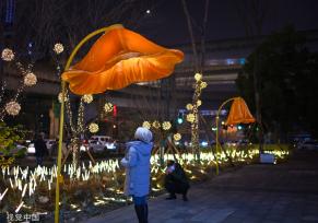 成都街头现开花路灯 “花朵”随行人走近绽放