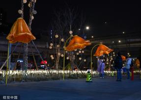 成都街头现开花路灯 “花朵”随行人走近绽放