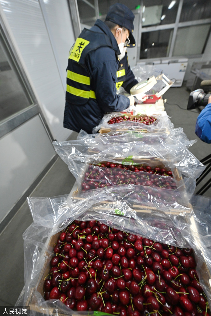 浙江口腔医院黄牛代挂号电话票贩子号贩子网上预约挂号,住院检查加快,上海:春节前洋山口岸迎进口鲜果入境潮