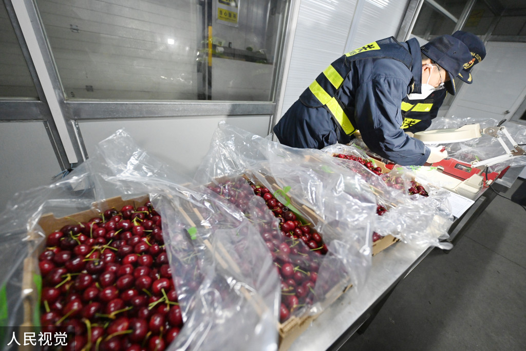 浙江口腔医院黄牛代挂号电话票贩子号贩子网上预约挂号,住院检查加快,上海:春节前洋山口岸迎进口鲜果入境潮