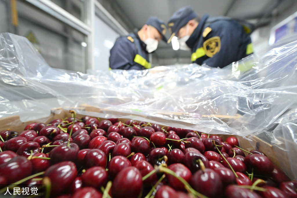 浙江口腔医院黄牛代挂号电话票贩子号贩子网上预约挂号,住院检查加快,上海:春节前洋山口岸迎进口鲜果入境潮