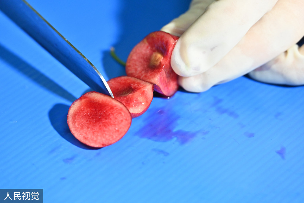 浙江口腔医院黄牛代挂号电话票贩子号贩子网上预约挂号,住院检查加快,上海:春节前洋山口岸迎进口鲜果入境潮