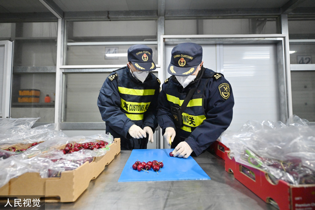 浙江口腔医院黄牛代挂号电话票贩子号贩子网上预约挂号,住院检查加快,上海:春节前洋山口岸迎进口鲜果入境潮