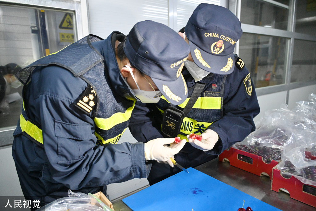 浙江口腔医院黄牛代挂号电话票贩子号贩子网上预约挂号,住院检查加快,上海:春节前洋山口岸迎进口鲜果入境潮