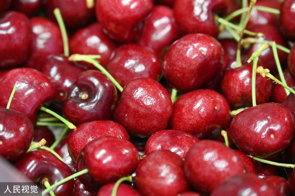 浙江口腔医院黄牛代挂号电话票贩子号贩子网上预约挂号,住院检查加快,上海:春节前洋山口岸迎进口鲜果入境潮