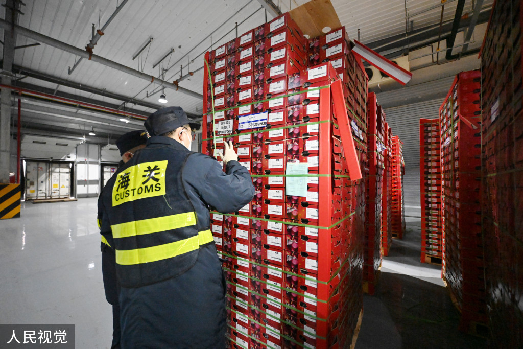 浙江口腔医院黄牛代挂号电话票贩子号贩子网上预约挂号,住院检查加快,上海:春节前洋山口岸迎进口鲜果入境潮