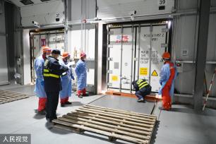 上海：春节前洋山口岸迎进口鲜果入境潮