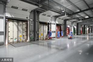 上海：春节前洋山口岸迎进口鲜果入境潮