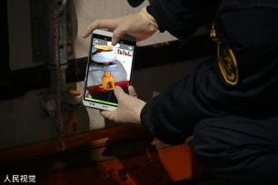 上海：春节前洋山口岸迎进口鲜果入境潮