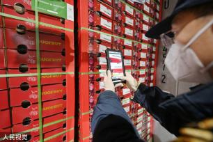 上海：春节前洋山口岸迎进口鲜果入境潮