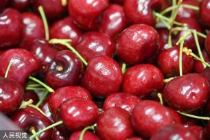 上海：春节前洋山口岸迎进口鲜果入境潮