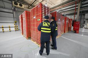 上海：春节前洋山口岸迎进口鲜果入境潮